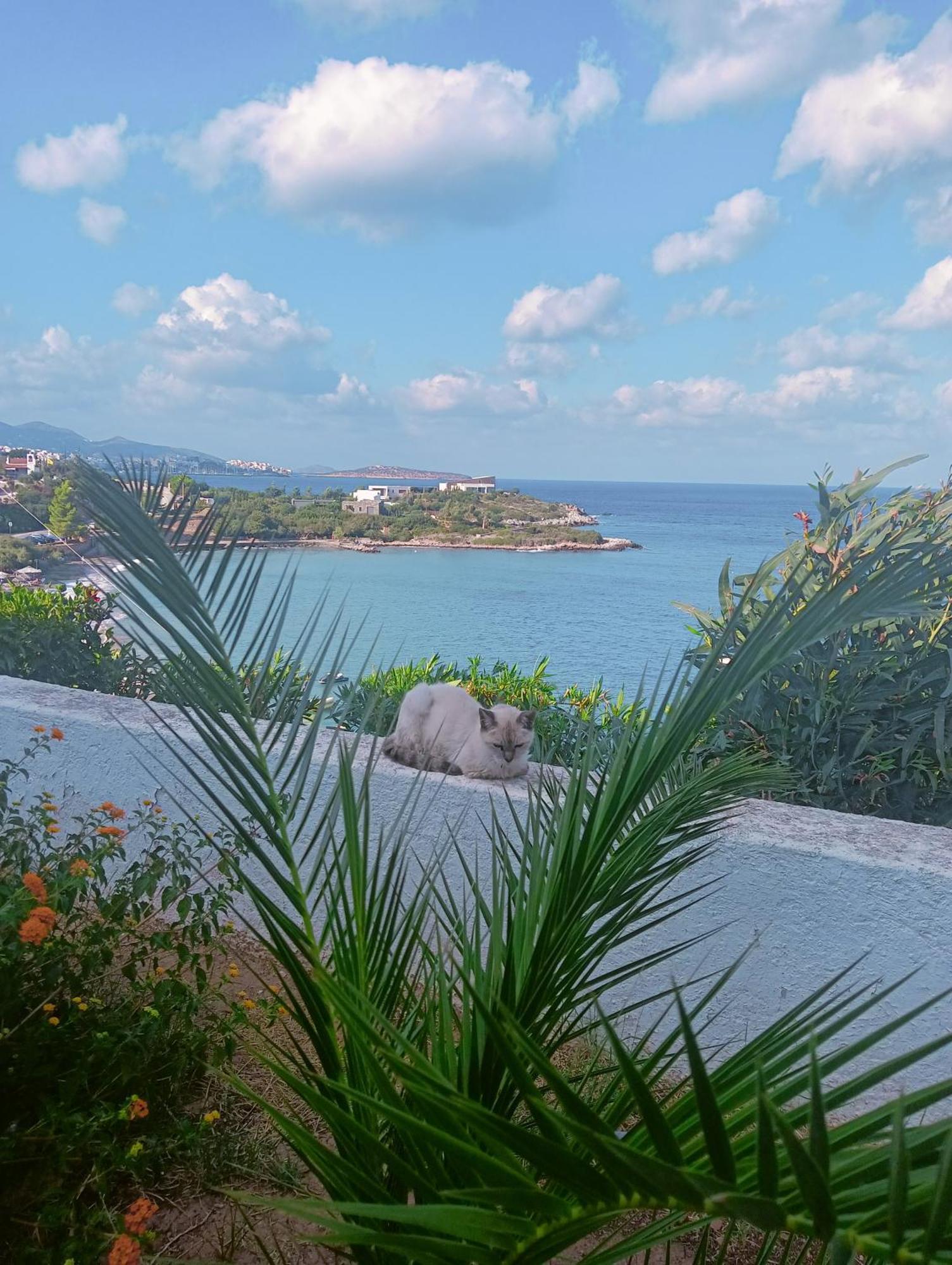 Amoudara  Residence Gerani מראה חיצוני תמונה